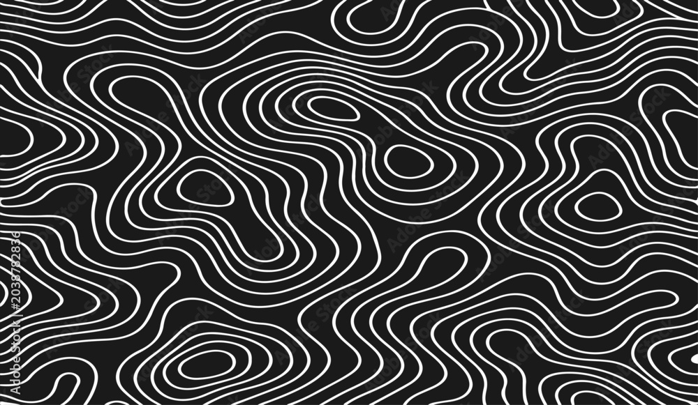 Obraz premium Abstract Topographic Contour Lines Vector Illustration Design in Black and White with Flowing Organic Map Pattern for Modern Minimal Background, Geographic Terrain Line Art Texture.