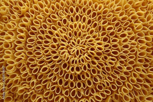 neatly placed pasta spirals