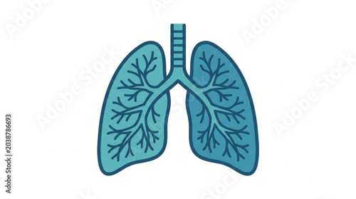 Bild auf Leinwand Illustration of human lungs and trachea medical diagram.