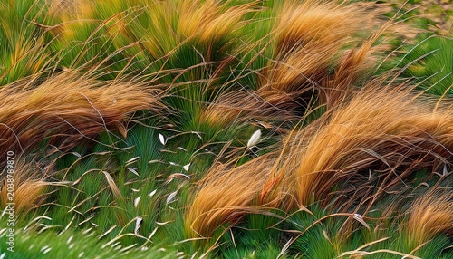 The Background Image Features Green And Brown Grass With Scattered Seeds