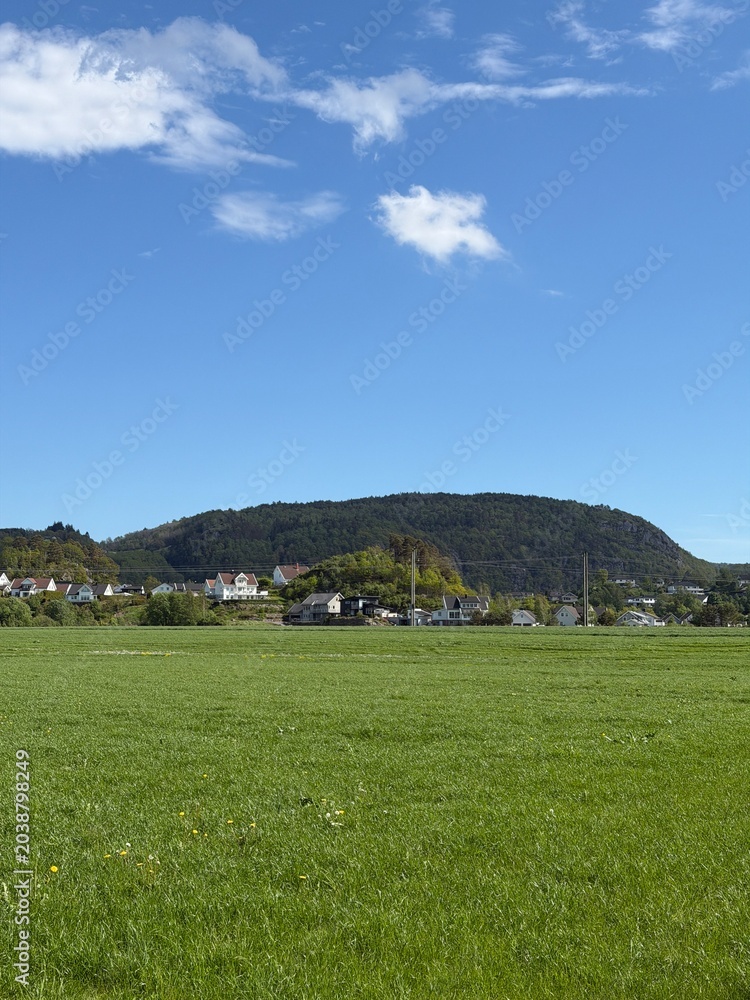 Fototapeta premium Fields with Norwegian Houses and Mountain Landscape
