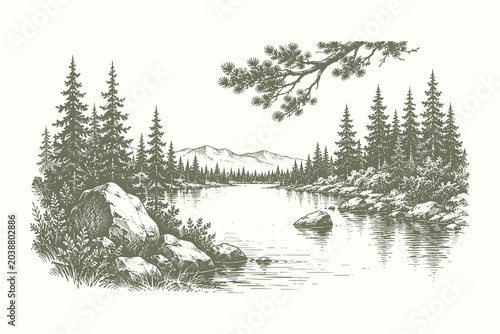 Pine forest river vector illustration with tranquil wilderness scenery in intricate vintage engraved line art composition