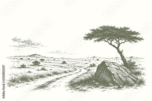 Foto Savannah pathway landscape vector illustration with solitary tree and open plain