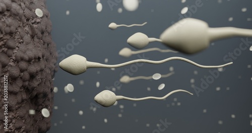Tableau sur toile 3d monochromatic illustration of fecundation of an oocyte by a spermatozoon with