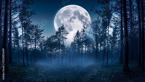 Full Moon In Dark Woods At Night Fantasy Forest Panorama