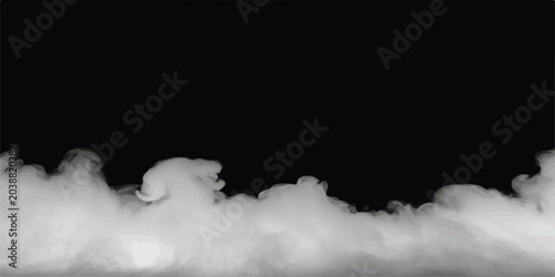 Schilderij op canvas Abstract white smoke plume against a black background with smoke cloud abstract