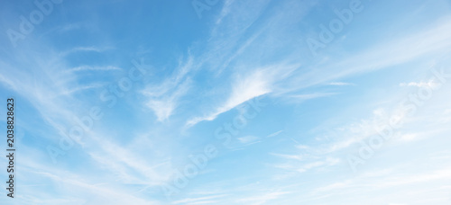 Fotografie A bright blue sky background with wispy cirrus clouds pointing in various directions