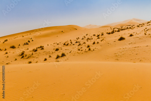 Photos Sahara landscape