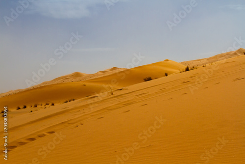 Foto Sahara landscape