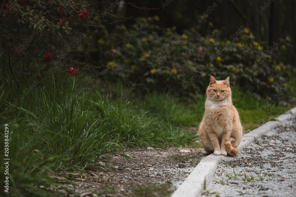Obraz premium The Garden Keeper