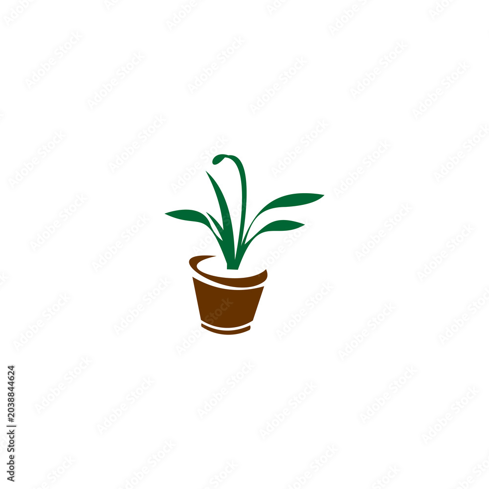 Fototapeta premium The design uses a deep brown color for the simple, slightly tapered pot and a rich green color for the plant's foliage, which consists of several elongated, pointed leaves.