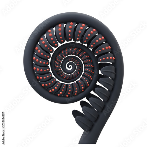 Abstract Spiral Fern Frond with Red Dots