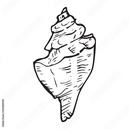 Принти на полотні Busycon whelk shell hand drawn sketch, black line art doodle