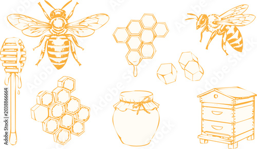 Set of honey elements with bees, honeycomb, honey dipper, jar and beehive