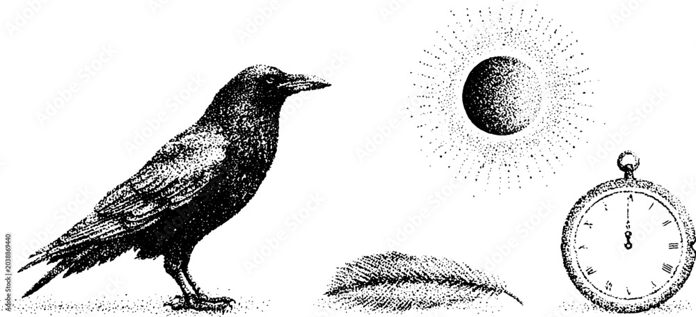 Obraz premium Crow standing beside feather and pocket watch on white surface