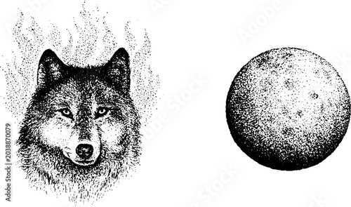Wolf portrait with flame halo beside textured moon on white