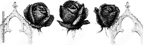 Three rose heads displayed with decorative arch supports