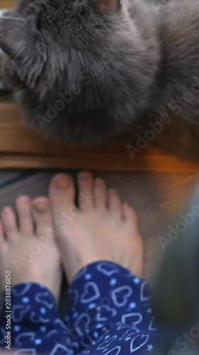 Pet by window. Calm cat by bare feet and steaming coffee. Silent feline companion on windowsill with morning coffee scene. Tranquil cat sits quietly on windowsill next to feet and warm beverage