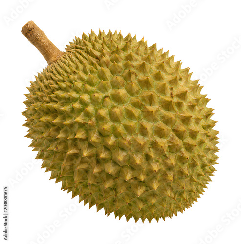Durian isoliert auf transparentem Hintergrund, extrahiert, freigestellt, png Datei