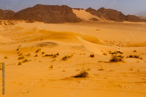 Sahara landscape. The picturesque  Ouan Zaouatan (d'Ouan Zaouten) dunes. The Tadrart Rouge Mountains in the background. Tassili n'Ajjer National Park, Algeria, Africa
