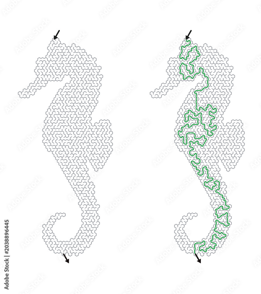 Fototapeta premium TITLE: Labyrinth worksheet in seahorse shape with solved path and answer key, ocean creature maze challenge for children and adults on transparent background