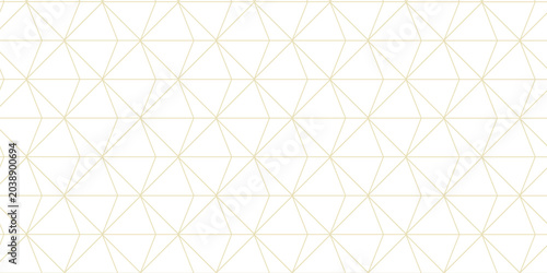 Foto Set of 16 hexagon line seamless pattern backgrounds, vector illustration