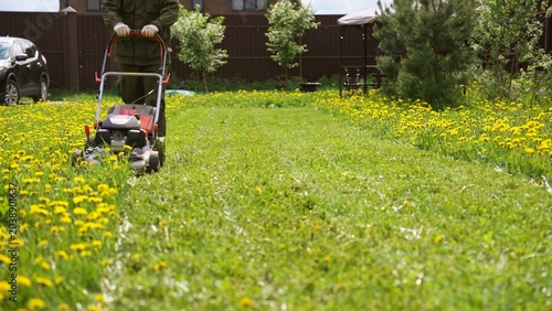 Obraz na plátně Person wearing gloves pushing a grass cutter, actively turning an unkempt field