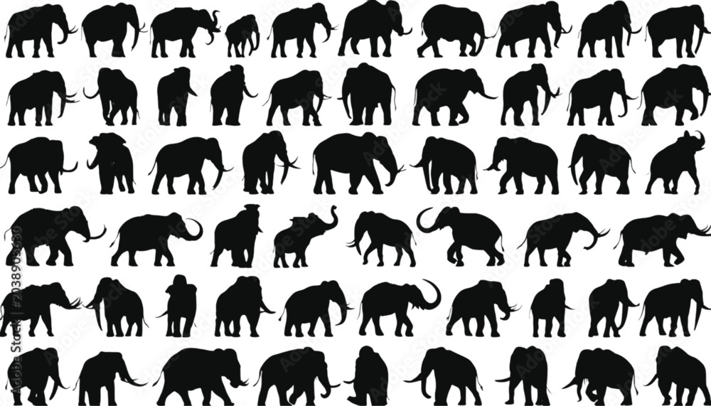 Obraz premium Elephants displayed in a comprehensive set of black silhouettes illustrate various postures and movements of these large mammals, creating a versatile resource for wildlife themed design projects.