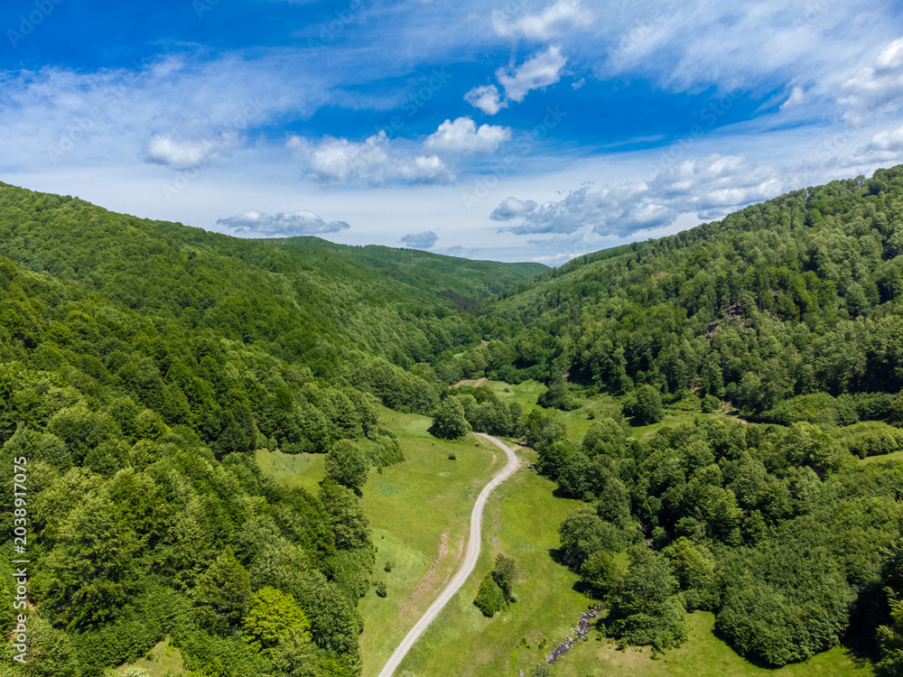Fototapeta premium Aerial view of a narrow, unpaved rural road winding through lush green pastures, bordered by dense deciduous forests and a small stream