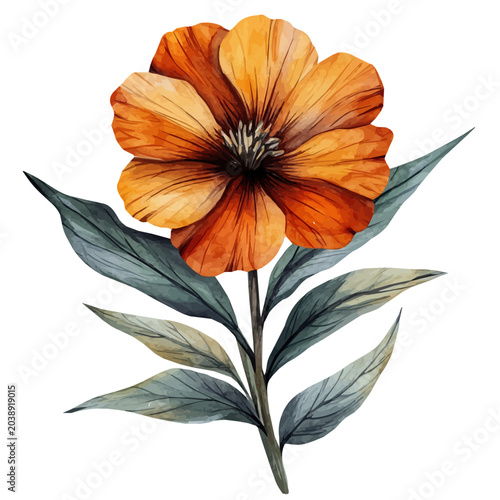 Tableau sur toile Wallflower Flower, elegant watercolor vector illustration with flowing lines and gentle color transitions, isolated on a white background