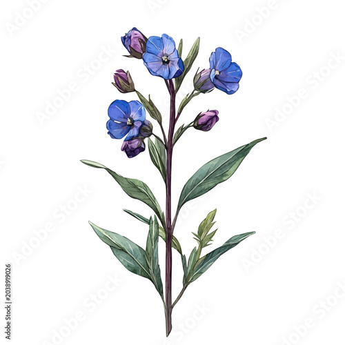 Foto Wallflower Flower, elegant watercolor vector illustration with flowing lines and gentle color transitions, isolated on a white background