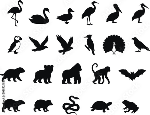 Fotografi Large collection of black animal silhouettes including flamingo, swan, peacock, gorilla, monkey, bat, snake, turtle, frog, and various wild birds isolated on white background