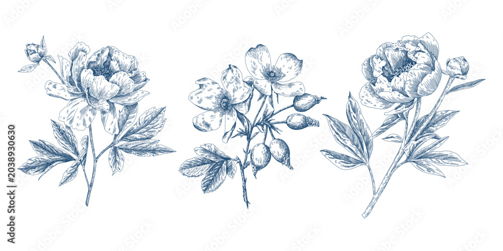Fototapeta premium Vintage Blue Floral Seamless Pattern with Hand Drawn Peonies and Botanical Elements