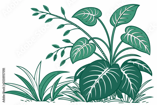 A large green plant with many leaves and some grass on a white background, featuring a beautiful vector graphic design of a tropical leafy plant with decorative foliage