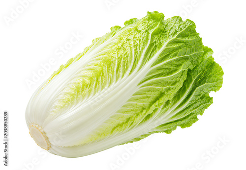 Chinakohl