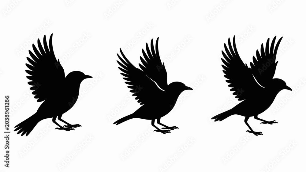 Fototapeta premium Three black birds flying with open wings in sequence
