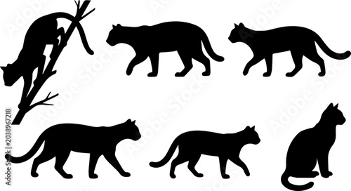Photography Big Cat Walking Silhouette Set – Tiger, Leopard, Cougar, Panther, Wild Cat Side