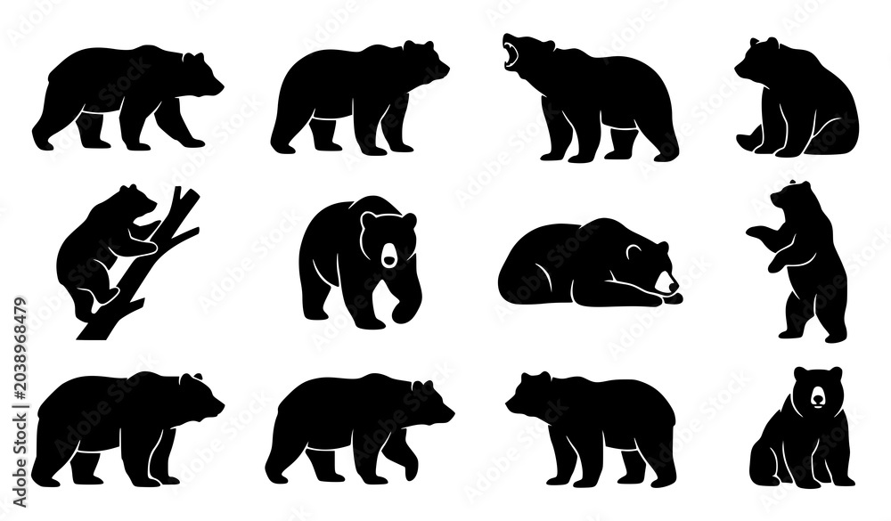 Fototapeta premium Bear Silhouette Set with Black Animal Shapes in Minimal Wildlife Vector Style