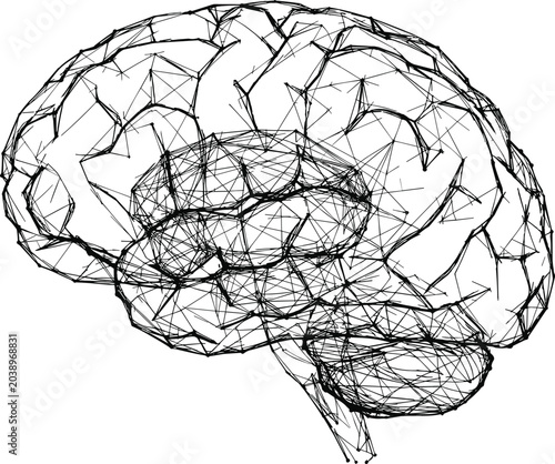 Tableau sur toile Digital Human Brain Concept Represented by a Complex Wireframe Network Mesh Illu