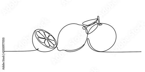 Foto Continuous single line drawing of fresh citrus lemon fruits
