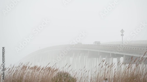 Wind-swept reeds in the foreground frame a bridge leading into Assateague Island, Maryland, where vehicles can be faintly seen crossing through dense coastal fog, creating a moody and atmospheric scen