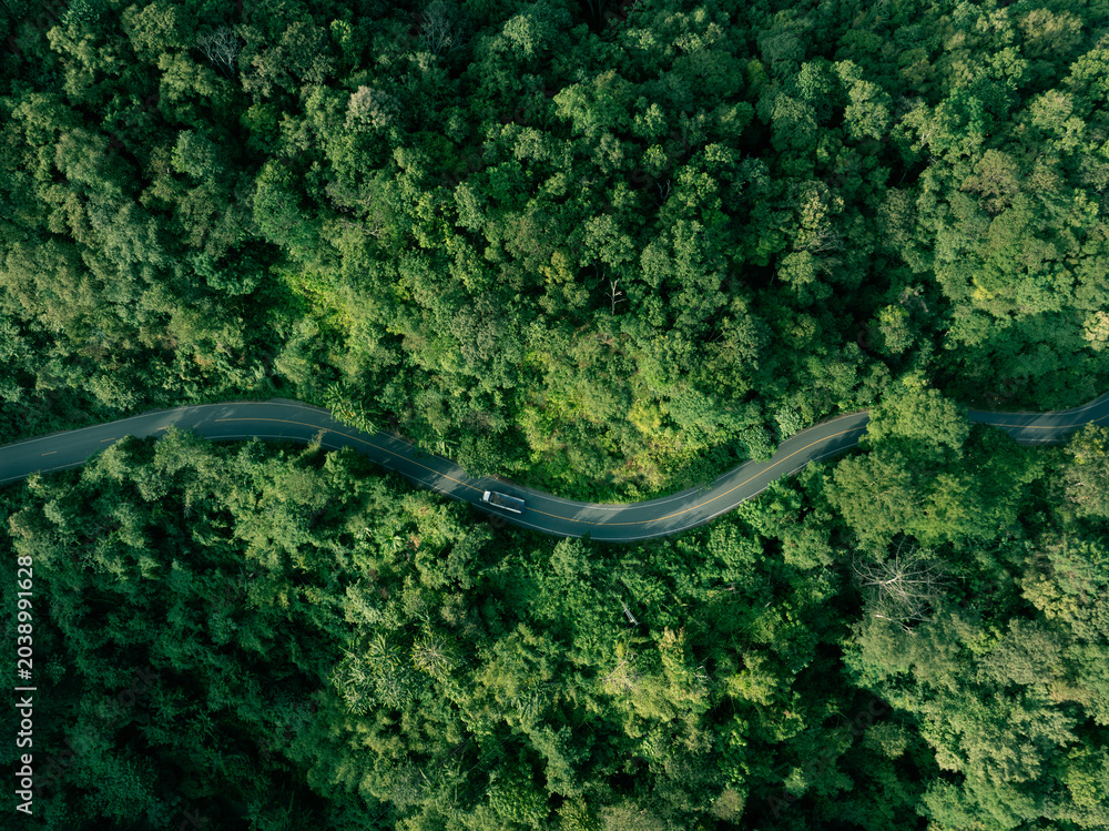 Obraz premium Nature landscape featuring a winding road in lush tropical forest. Perfect for themes of sustainable development, eco travel, green energy transition and responsible investment.