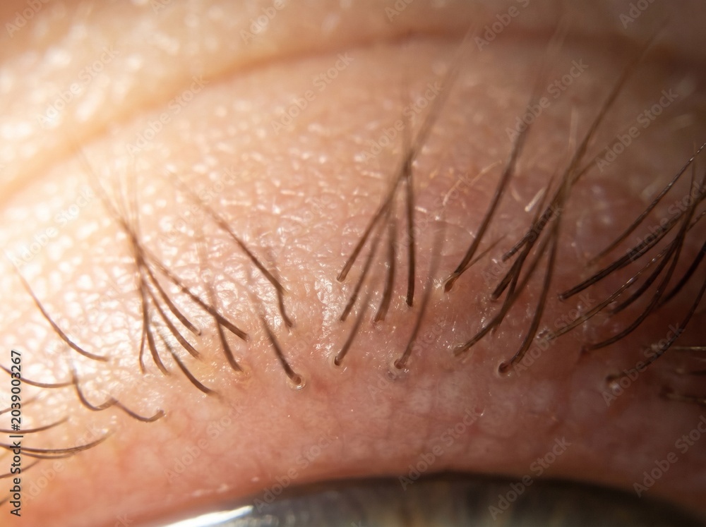 Fototapeta premium Extreme close up of human eyelashes and skin texture with cosmetic, close-up