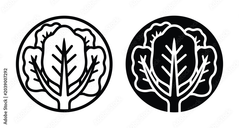 Fototapeta premium Cabbage lettuce vegetable icon set with linear and solid circular designs for healthy food menu grocery store and organic farming