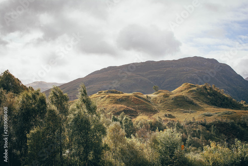 Scenic view of rolling hills covered in blooming purple heather, Scottish Highlands
