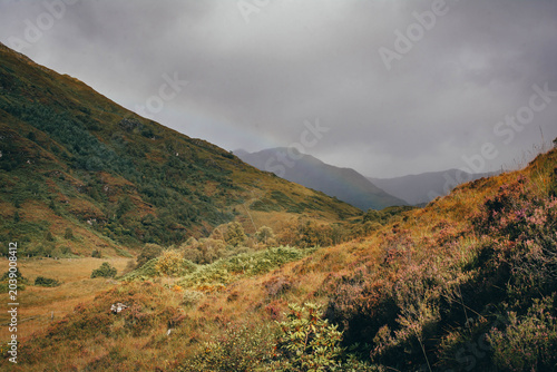 Scenic view of rolling hills covered in blooming purple heather, Scottish Highlands