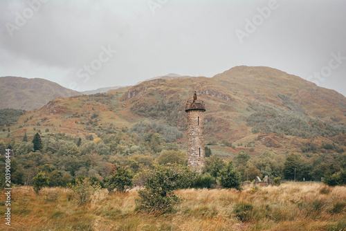 Scenic view of rolling hills covered in blooming purple heather, Scottish Highlands