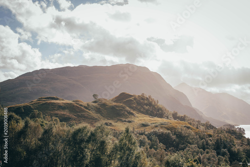 Scenic view of rolling hills covered in blooming purple heather, Scottish Highlands