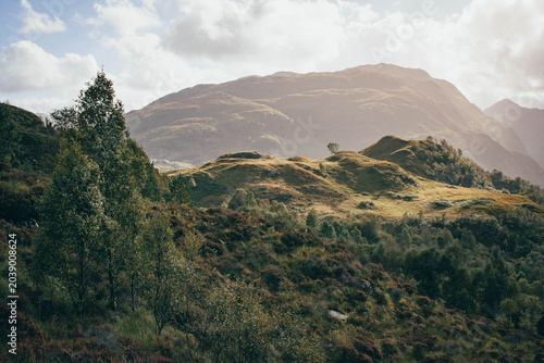 Scenic view of rolling hills covered in blooming purple heather, Scottish Highlands