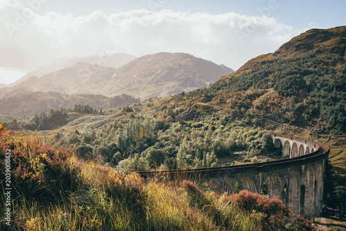 Scenic view of rolling hills covered in blooming purple heather, Scottish Highlands